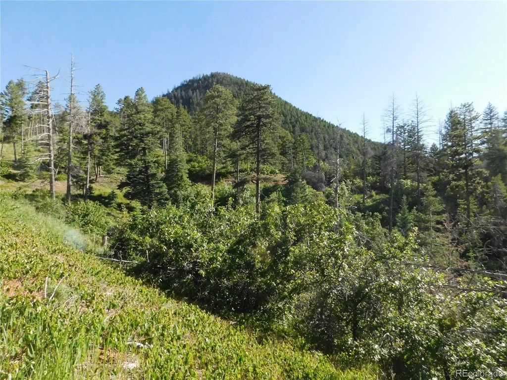 5425 Cheyenne Drive, Larkspur