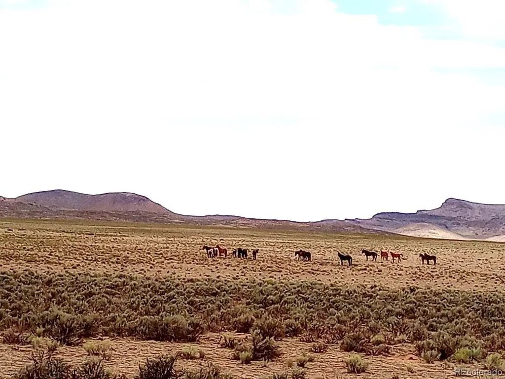 40 Acres County Rd 27, San Acacio