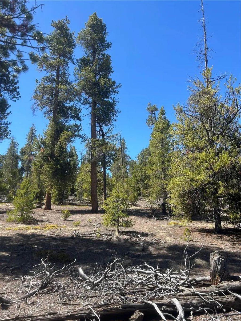 266 Ponderosa Drive, Leadville