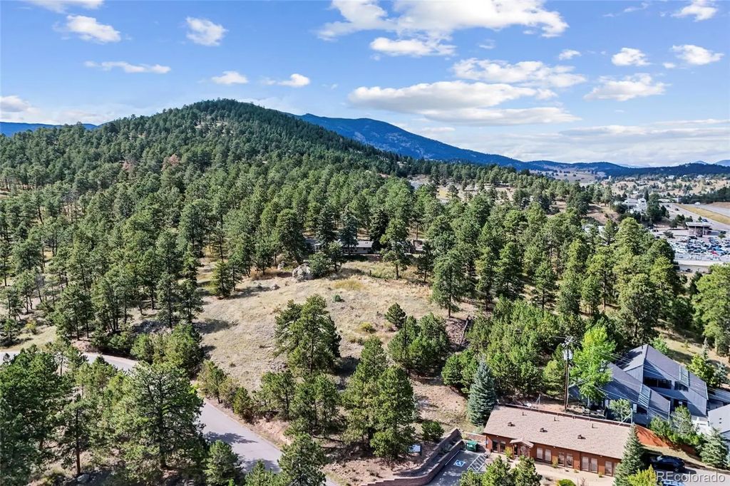 3942 S Palo Verde Road, Evergreen