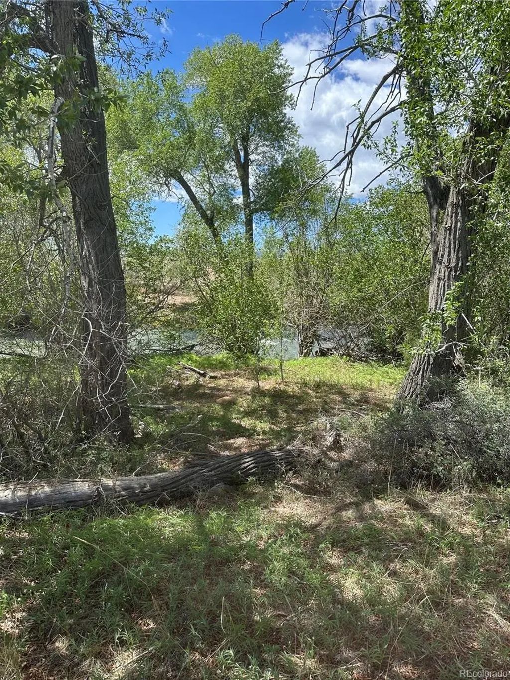 Lot 109 Alamosa River Estates, Capulin