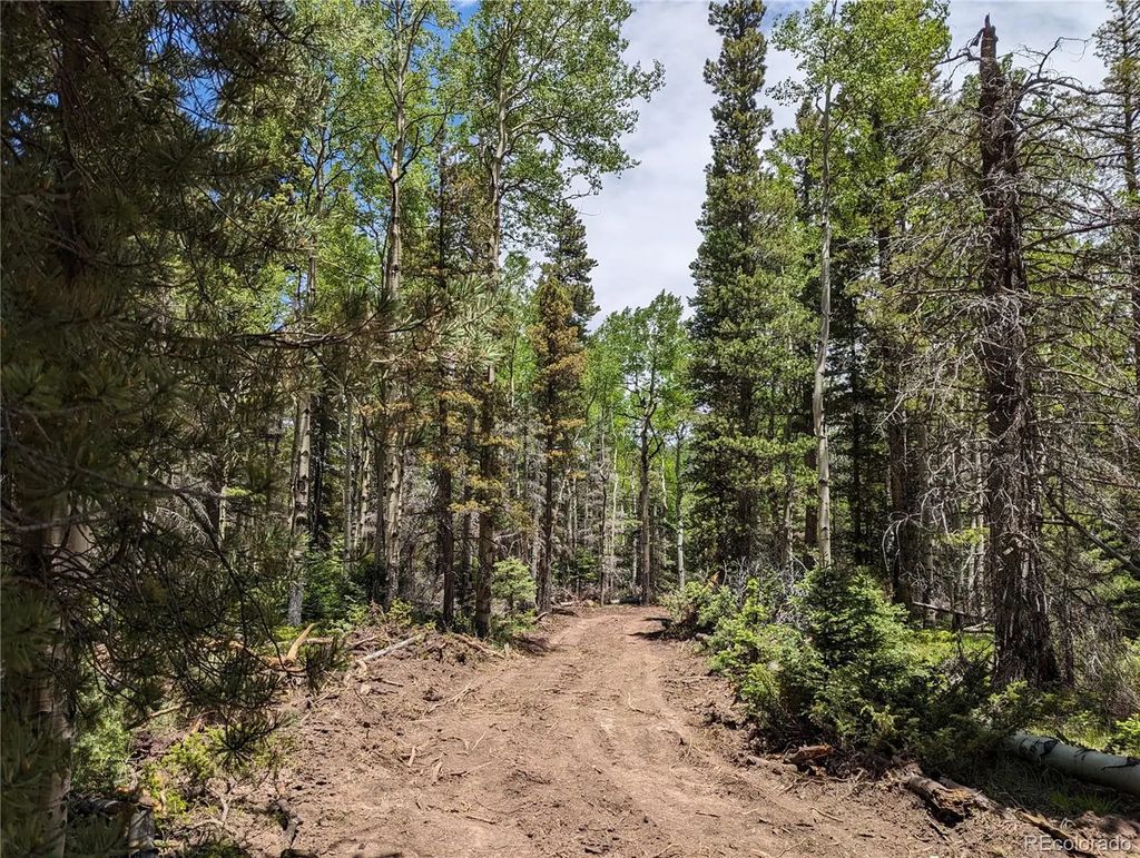 2904 Henderson Drive, Fort Garland