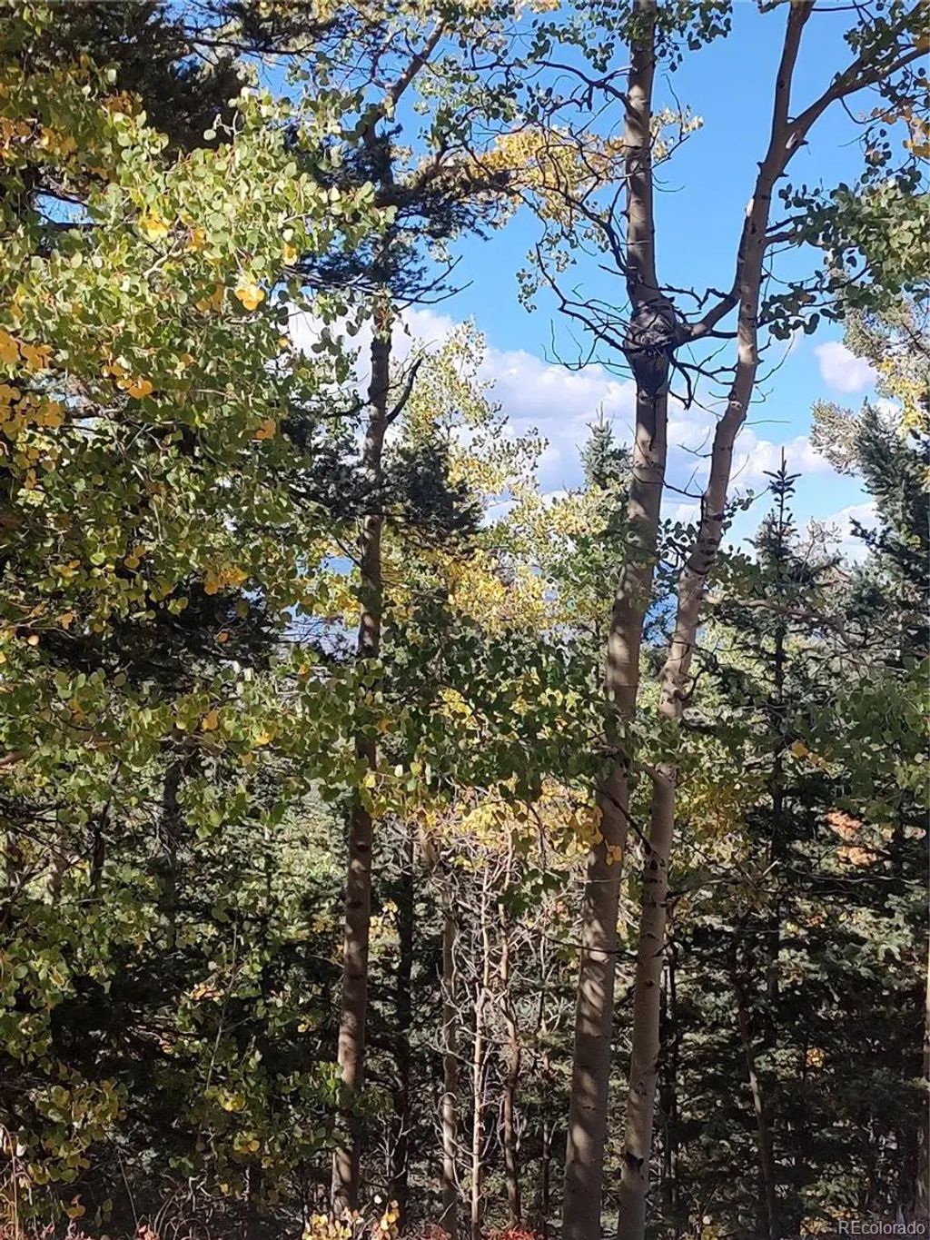 Lot 5374, Fort Garland