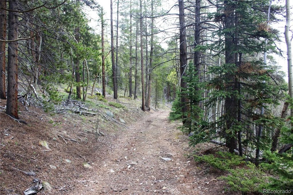 01 Broomfeild Gulch Road, Black Hawk