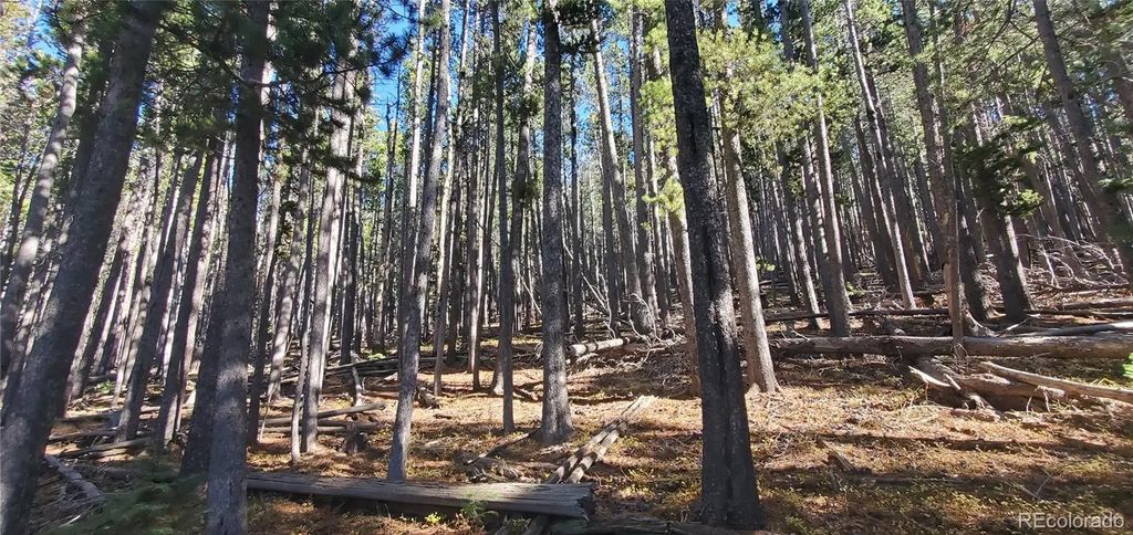 Lot 2682 & 2683 Purnell Lane, Fort Garland