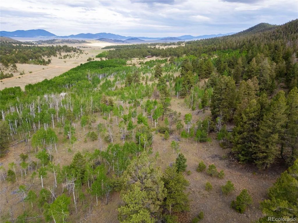 2396 Fitzsimmons Road, Hartsel