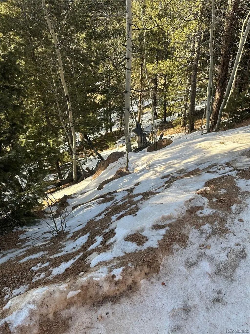 1600 Pikes Peak Drive, Divide