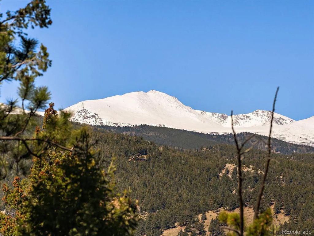 Lynx Lair Road, Evergreen