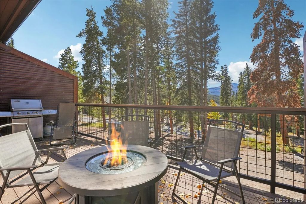 166 S Fuller Placer Road 6, Breckenridge