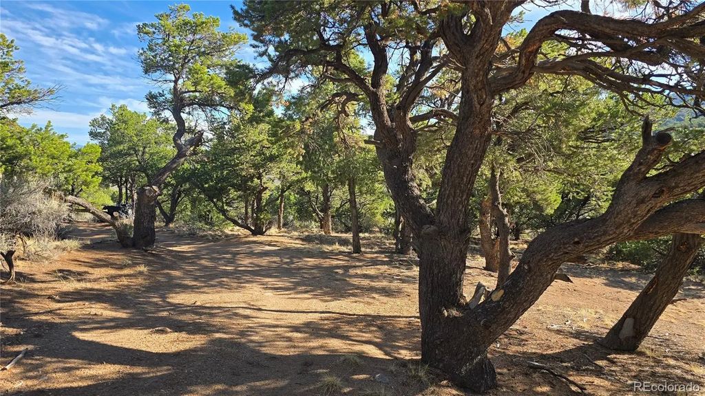 Lot 2232 Solaz Road, Fort Garland