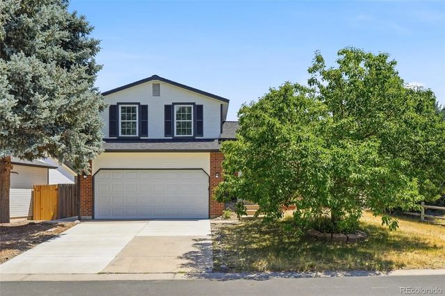 8438 Wild Alfalfa Place, Parker