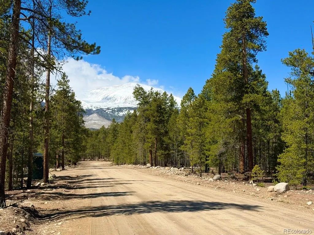 360 Peak View Drive, Leadville