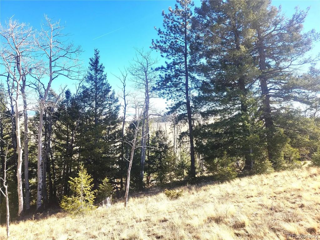 8802 Ranch Road, Hartsel