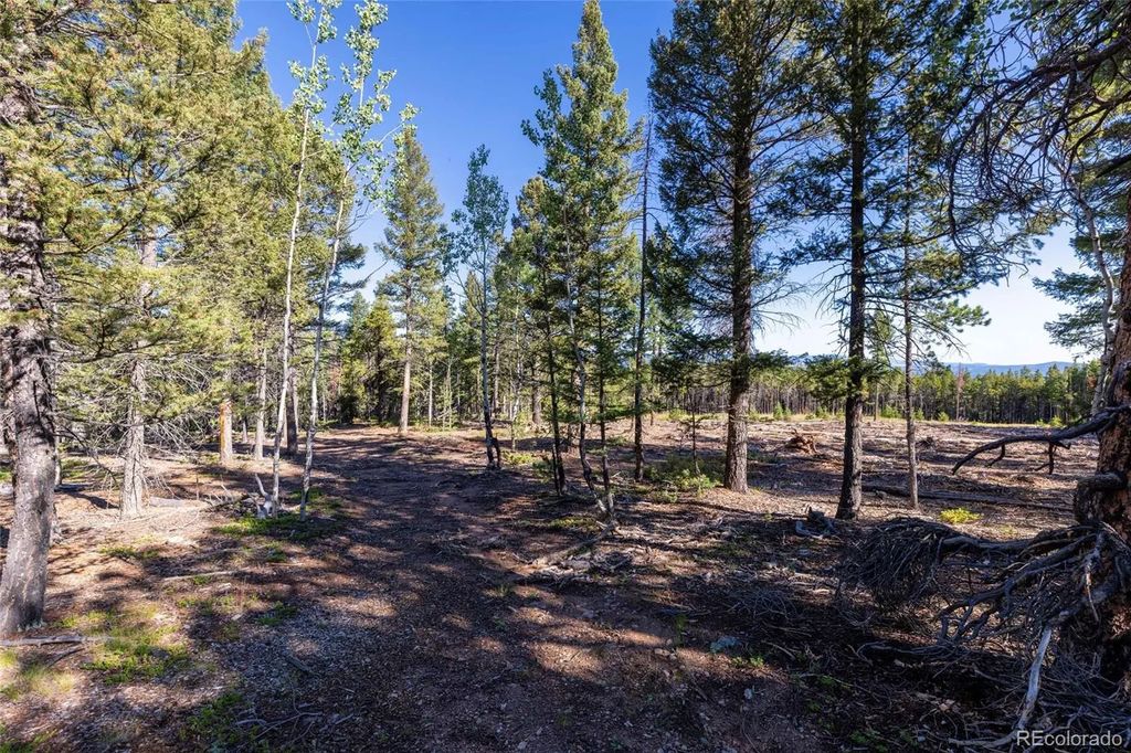 30894 Forest Shadow Trail, Conifer