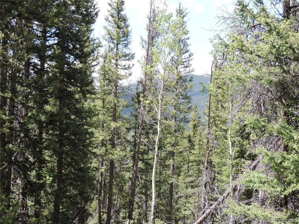 Georgia Pass Lookout, Jefferson