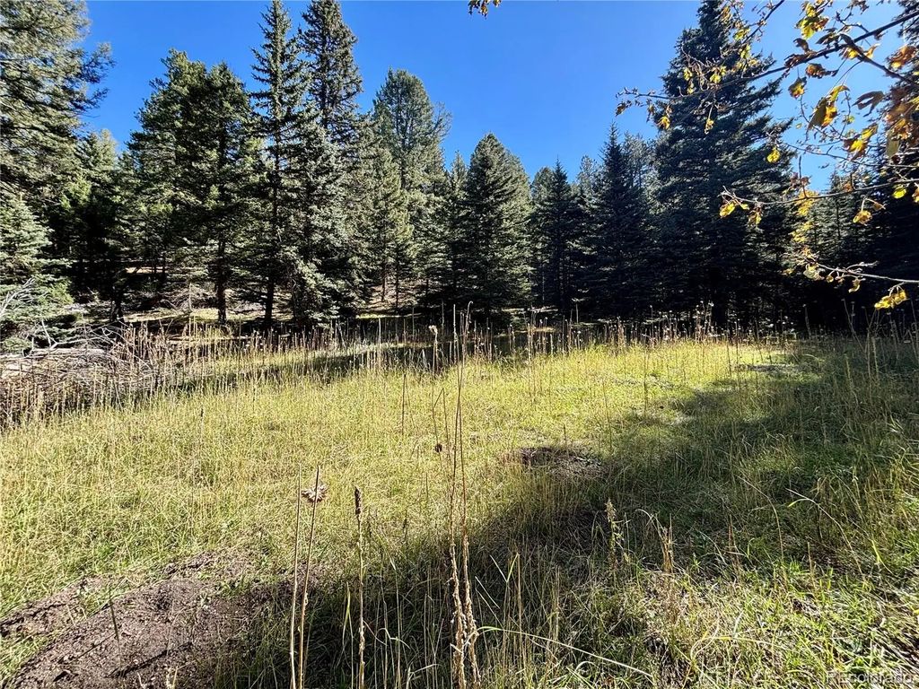 12301 Black Hawk Trail, Conifer