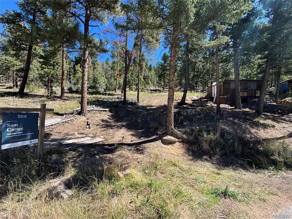 26460 Pleasant Park Road, Conifer