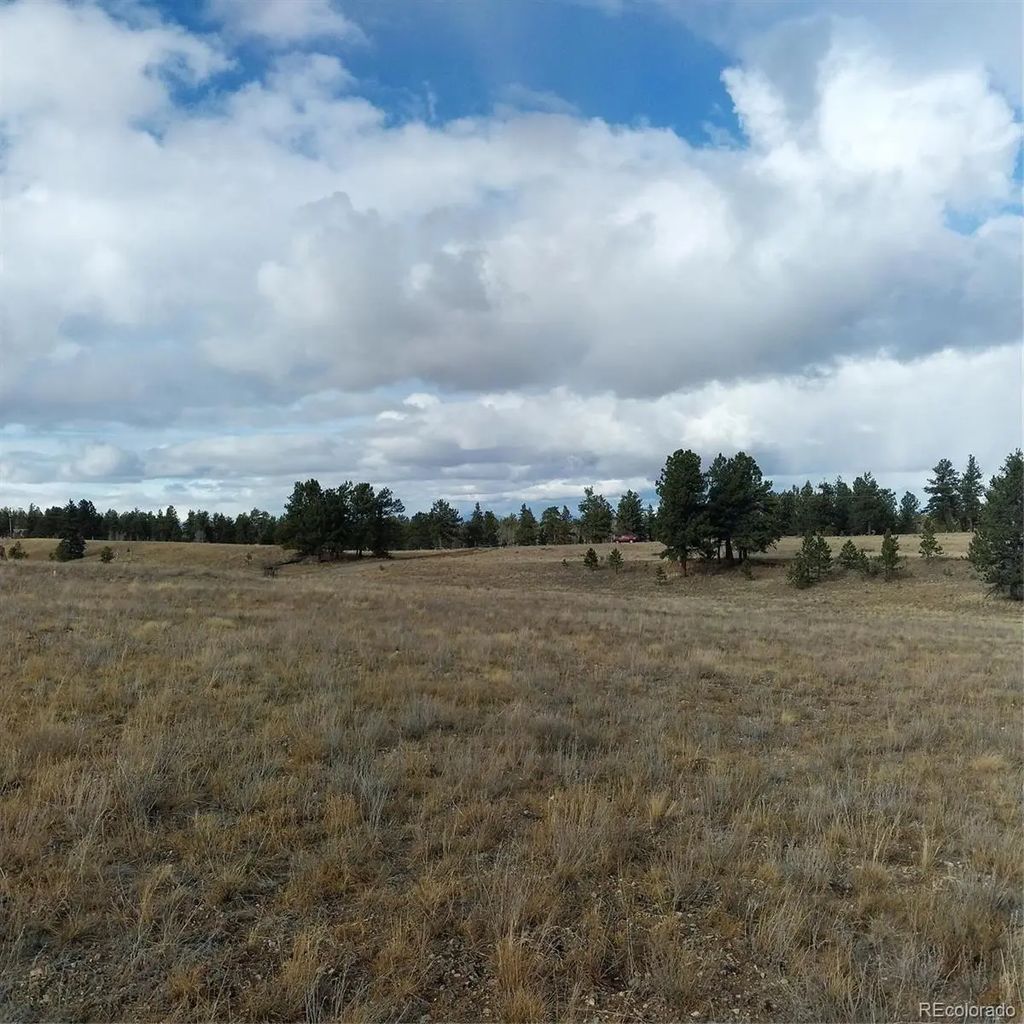 Singletree Road, Buena Vista