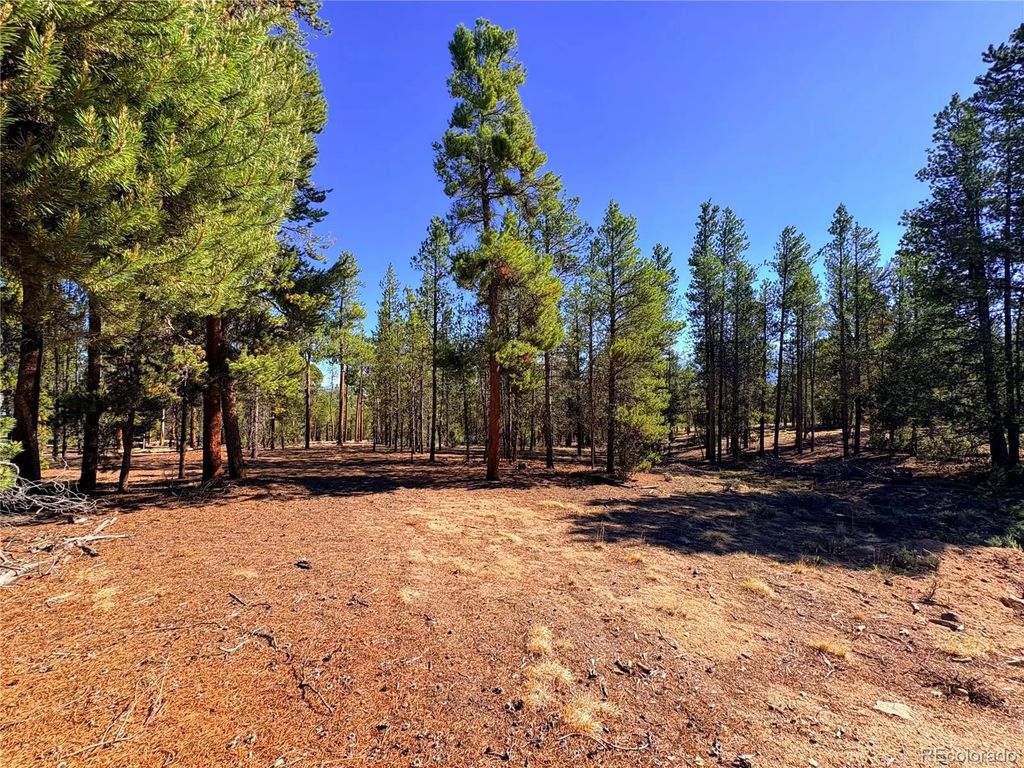 399 Lodgepole Drive, Leadville