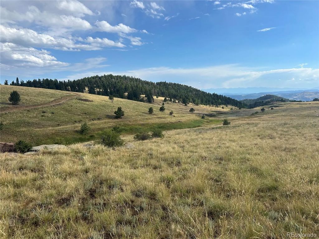 1100 Grumpy Burro View, Cripple Creek