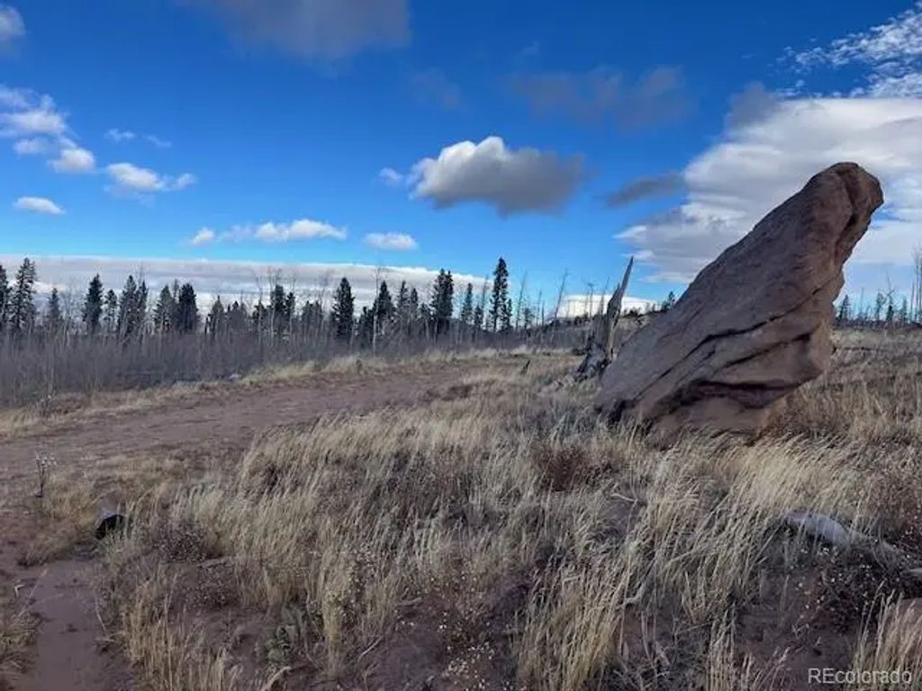 Lot 2544 Petito Drive, Fort Garland
