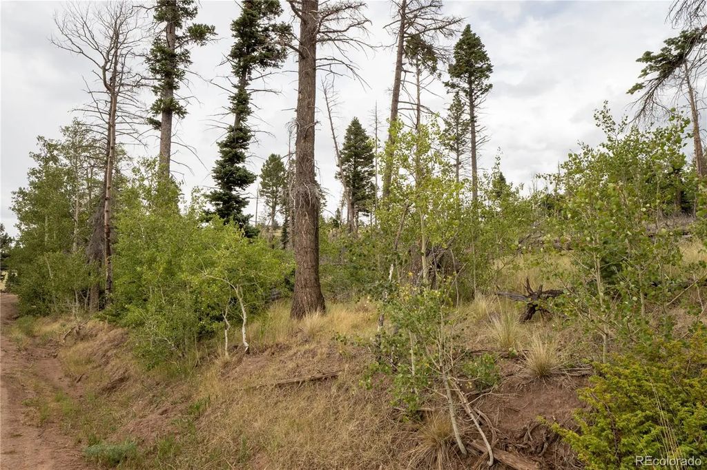 Lot 2571 Andes Loop, Fort Garland