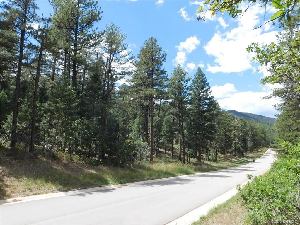 8139 Bannock Drive, Larkspur