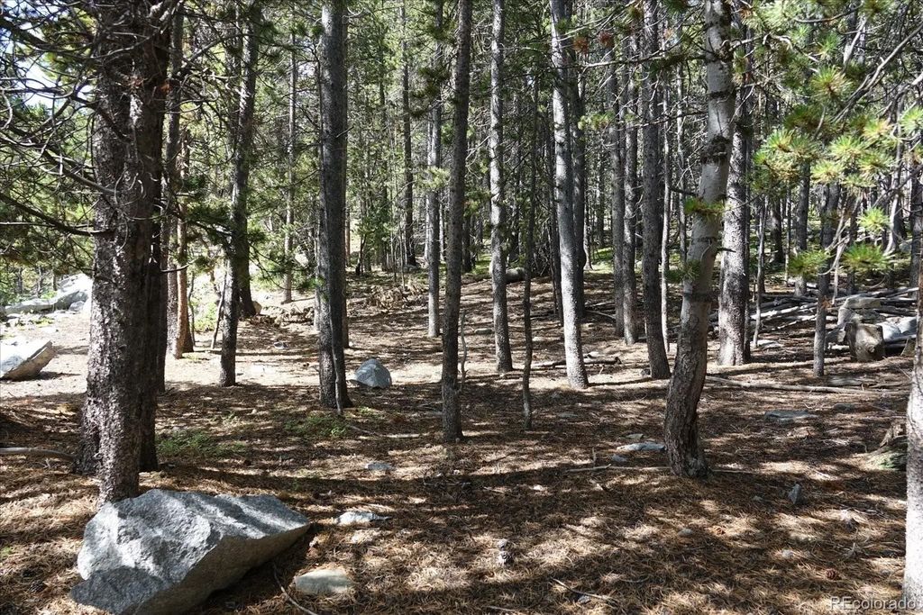 Upper Forest Rd, Idaho Springs