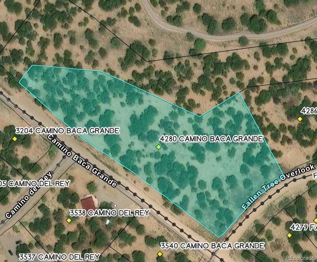 4280 Camino Baca Grande, Crestone
