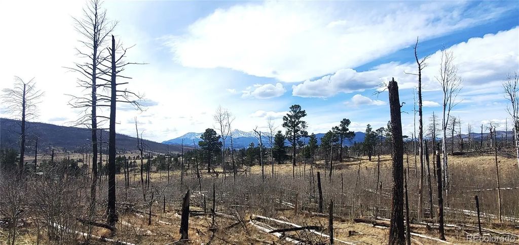 Lot 1209 Emery Loop, Fort Garland