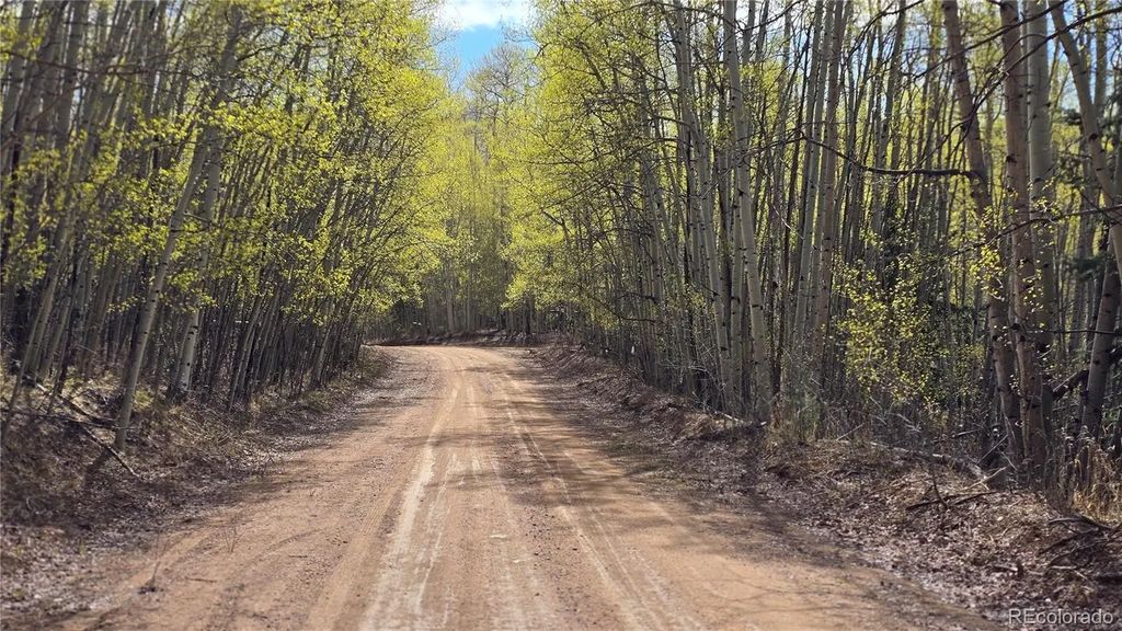 Lot 5902 Slegers Road, Fort Garland