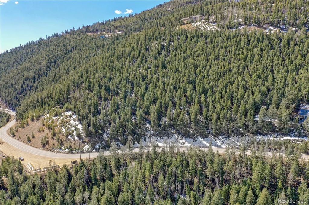 Saddleback, Evergreen