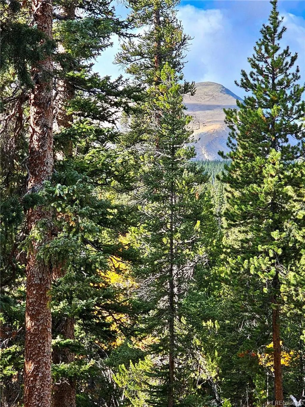 102 Gold Trail, Fairplay