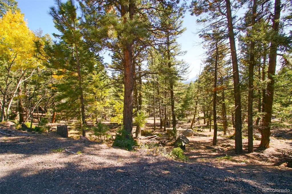 30402 Kings Valley E, Conifer