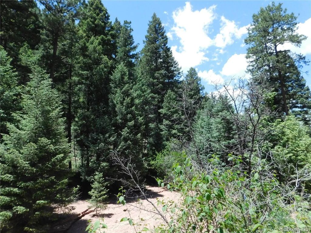 13175 Spruce Creek Circle, Larkspur
