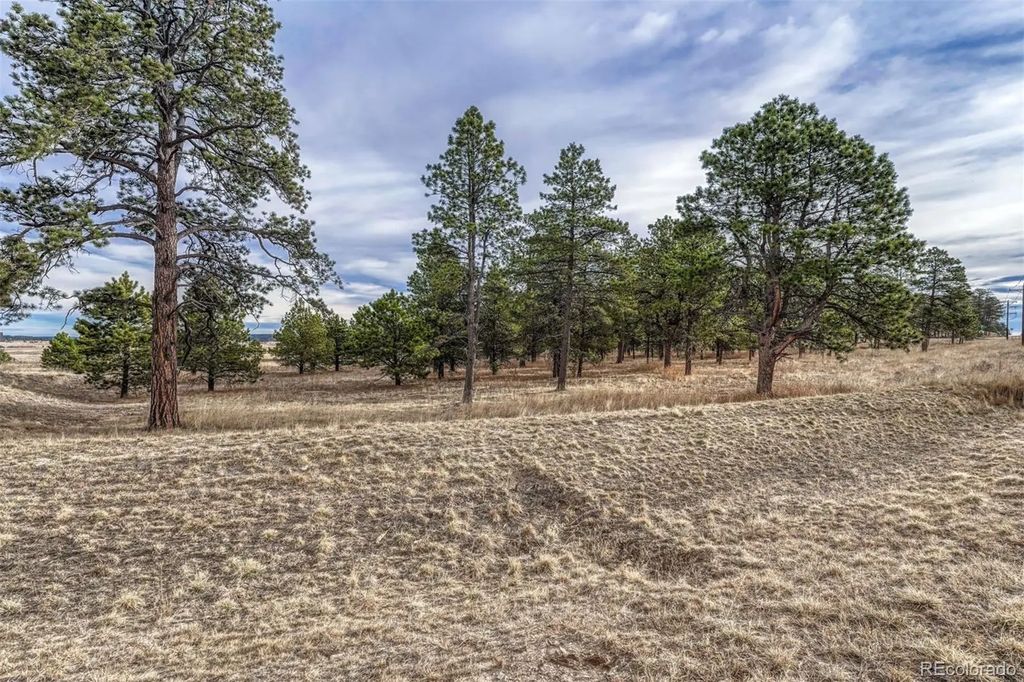 16511 Early Light Drive, Colorado Springs