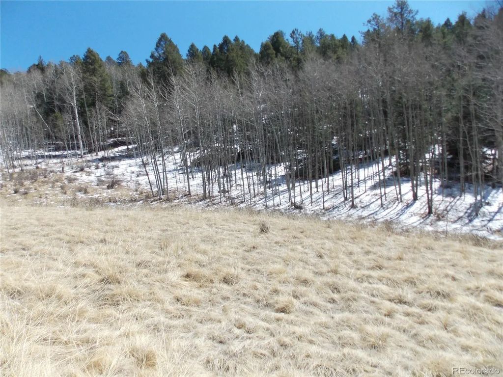 388 Grey Eagle Drive, Cripple Creek