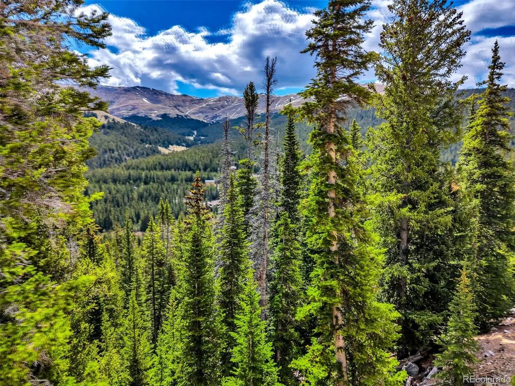 105 & 71 Quandary View Ln, Breckenridge