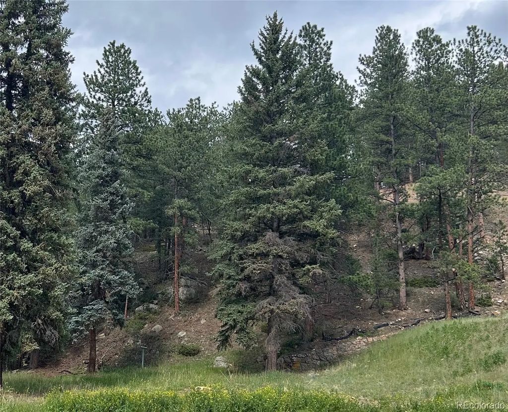 5190 County Road 73, Evergreen