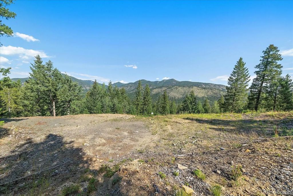 33844 Bergen View Trail, Evergreen