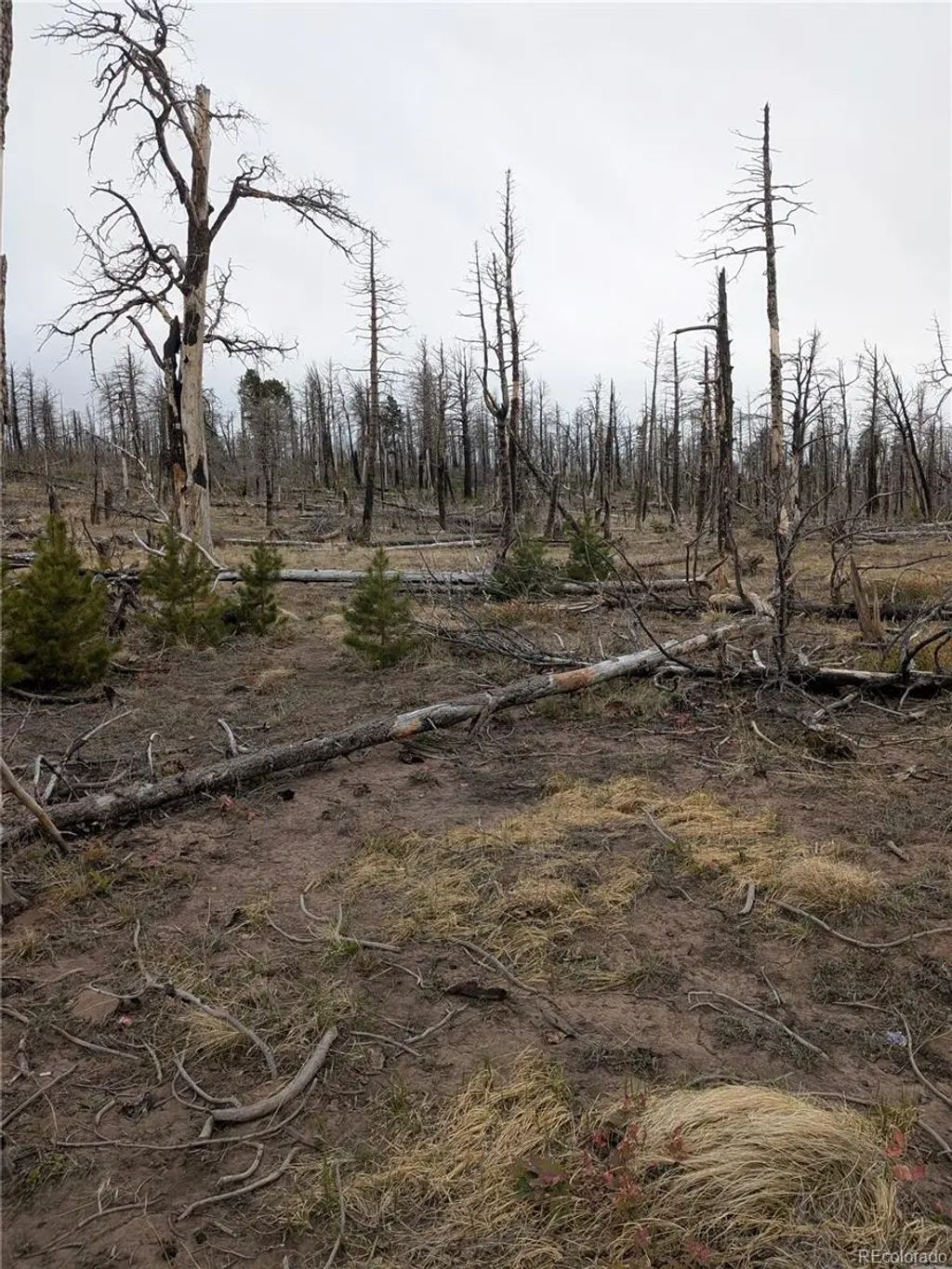 Lot 2296 Wohlstetter Loop, Fort Garland