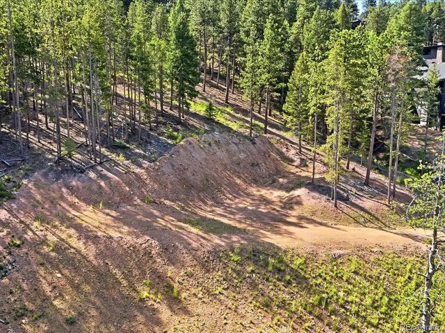 6824 Lynx Lair Road, Evergreen