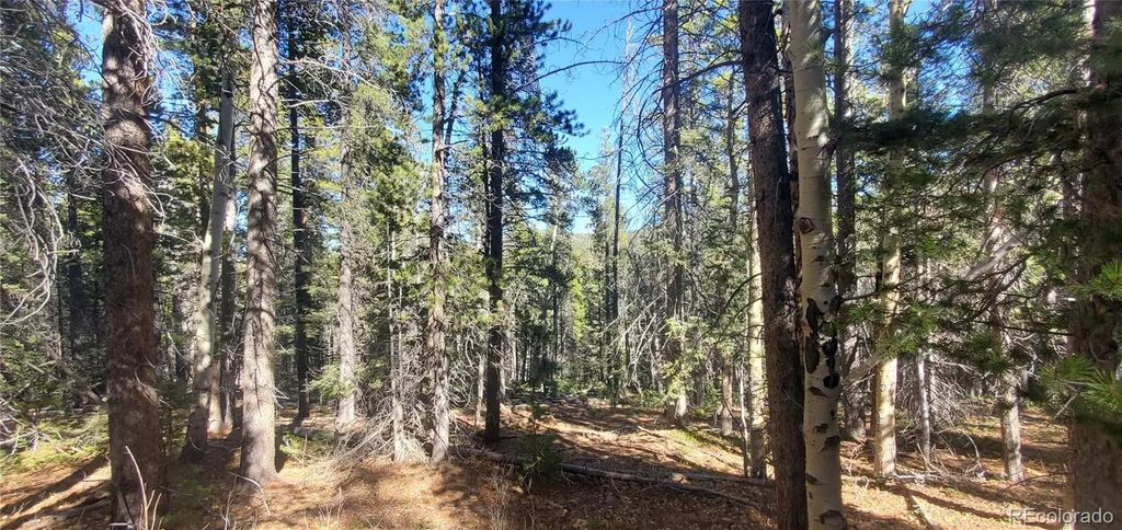 Lot 3023 & 3024 Bolwell Lane, Fort Garland