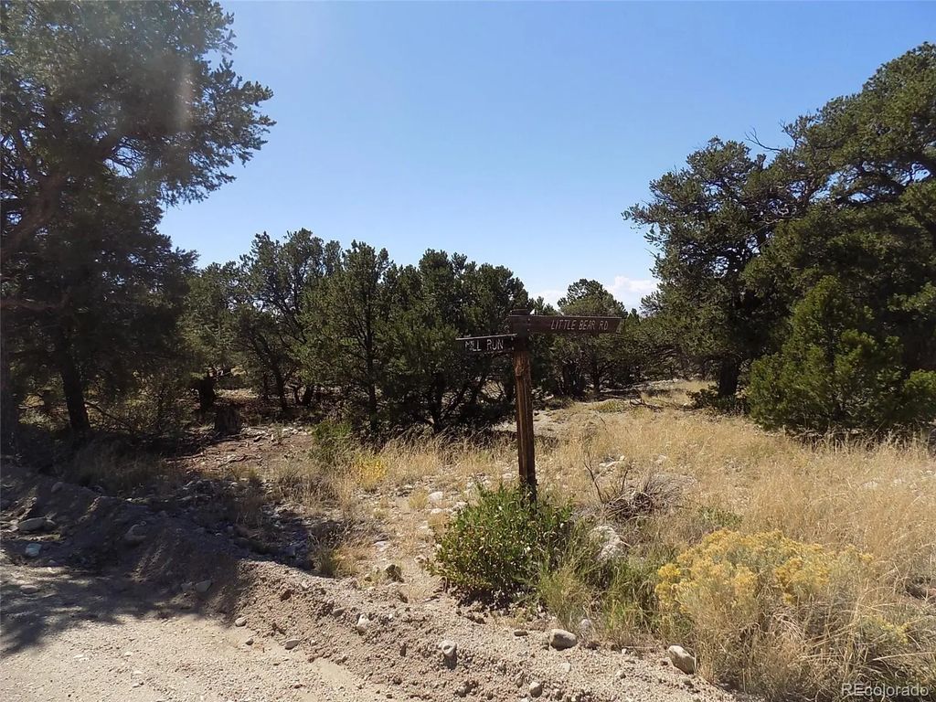 Little Bear Road, Mosca
