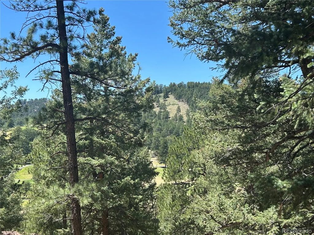 Pine Road, Evergreen