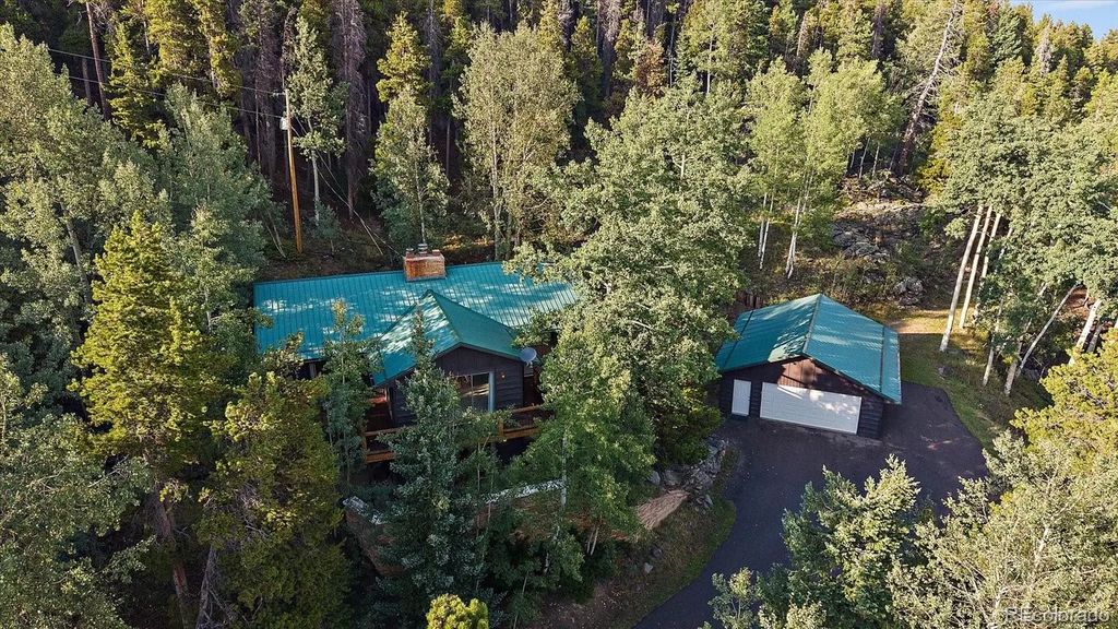 66 Lodgepole Circle, Evergreen