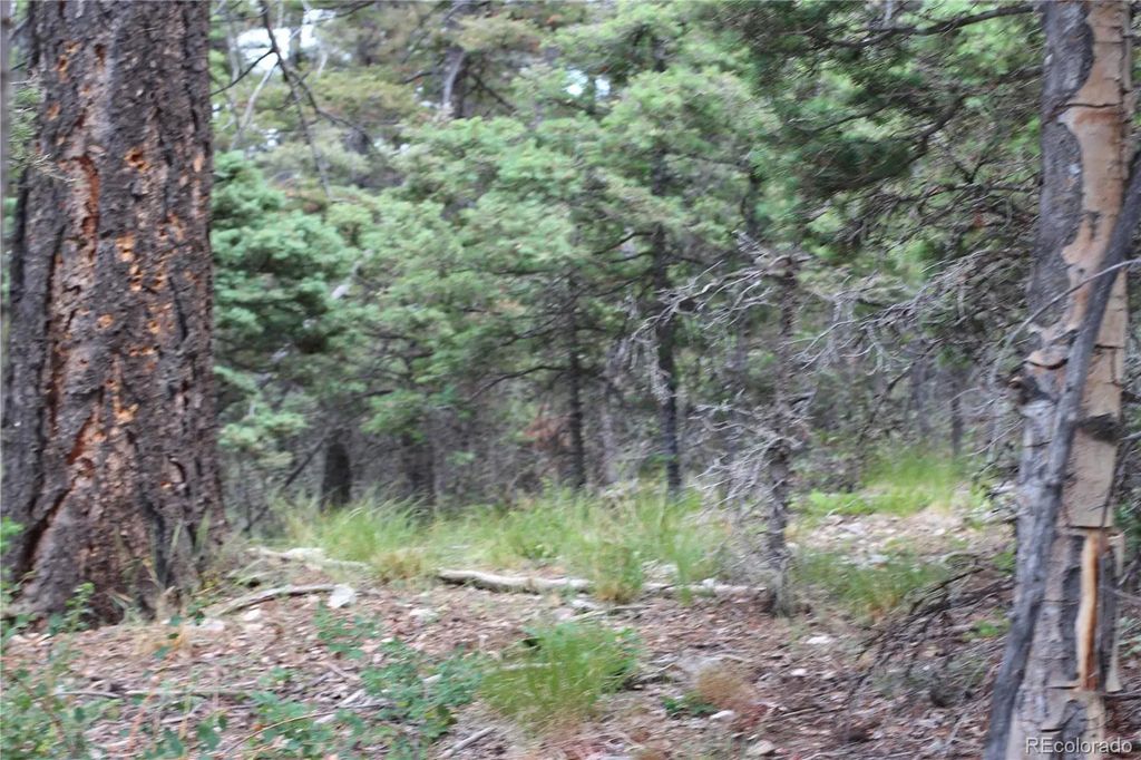 Lot 6077 Vreeland Road, San Luis