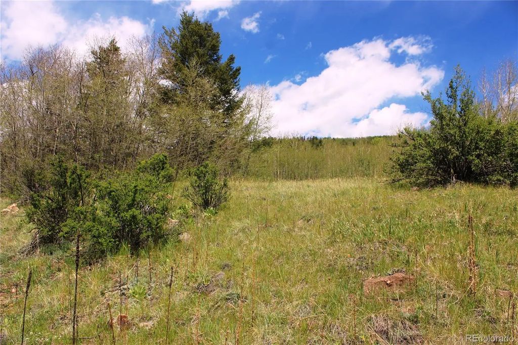 Quartz Hill Road, Central City