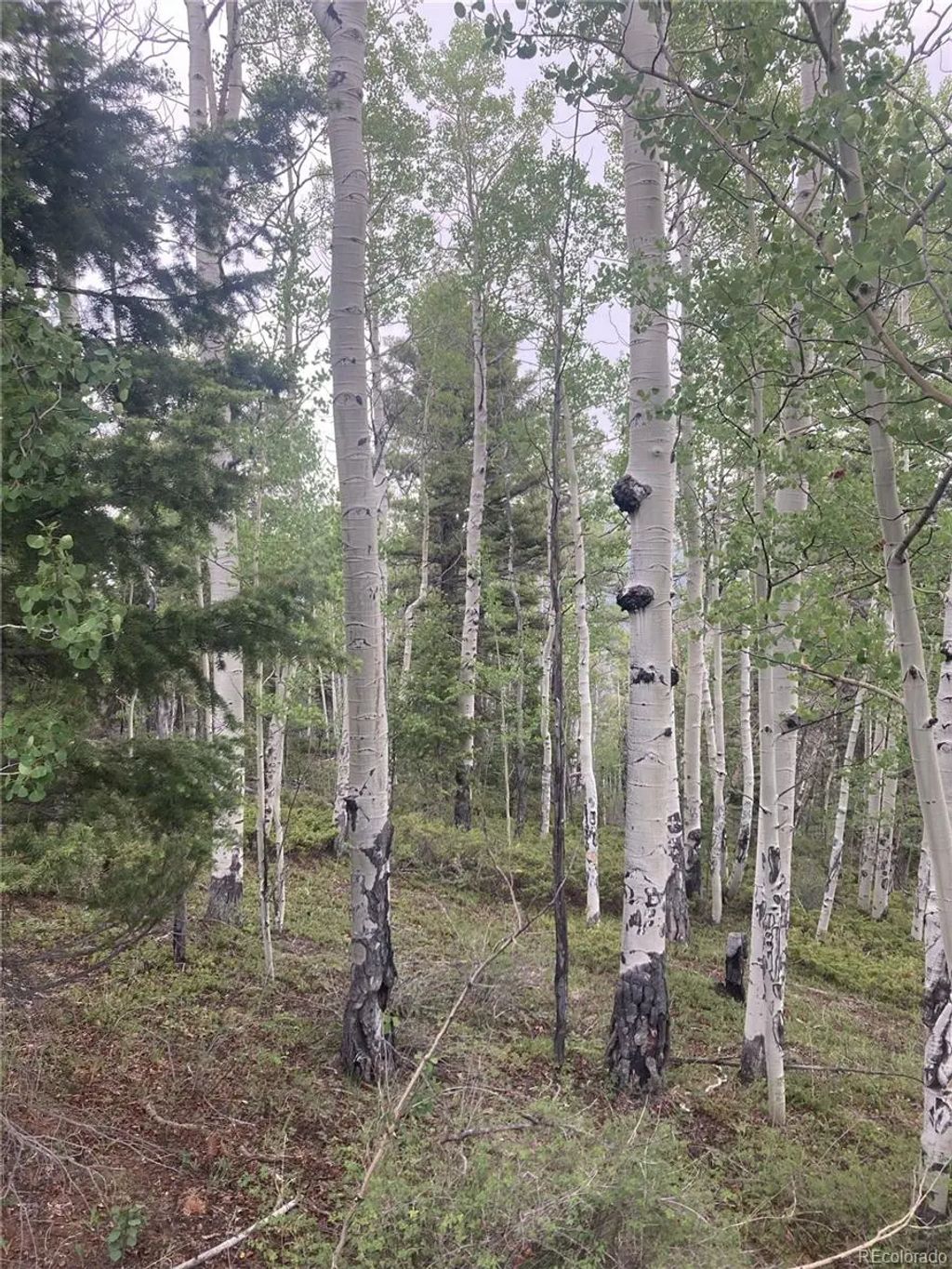 Lot 6785 Starkweather Road, San Luis