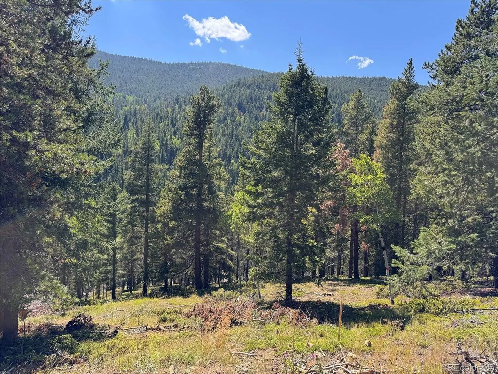 Blue Bell Lane, Idaho Springs